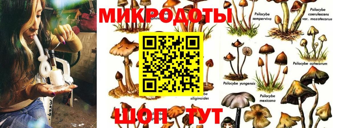 Псилоцибиновые грибы ЛСД  Вход с VPN  даркнет сайт  Мирный 